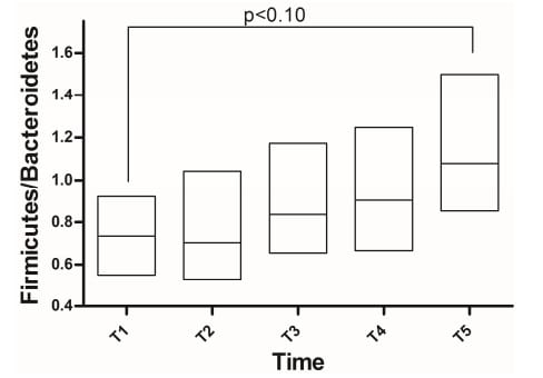 Silvafeed® Tannins Role in Rumen Microbiota Modulation - Image 2
