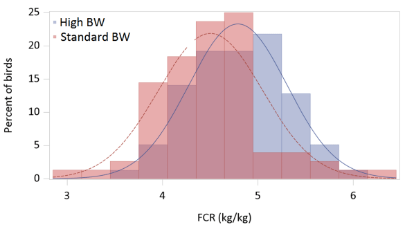 Figure 1 - Distribution of cumulative FCR phenotypes in 180 Ross 708 pullets from 16 d to 21 wk of age grown on a standard breeder recommended target BW, or on a high target BW curve adjusted to reach the 21 wk target BW at 18 wk. 