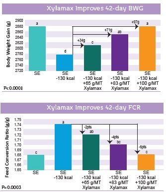 The efficacy of Xylamax in commercial broiler performance. - Image 1