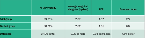 DigestoCid© boosts productivity and improves gut flora composition in caged broilers - Image 2