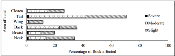 Figure 2 - Prevalence and severity of plumage damage (PD) for six different body locations as observed on fifteen free range farms. 
