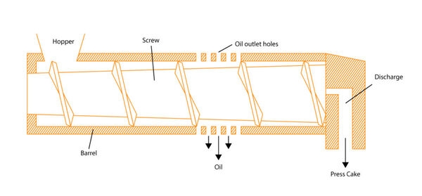 OIL PRESSING 101 - Image 3