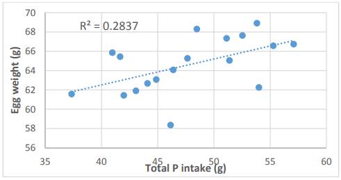 Figure 1 - Linear relationship between egg weight and total P intake in week 8 of experimental period (r = 0.533, P < 0.03). 