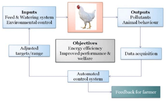 Figure 2 - Schematic of how biosensors may be used on poultry farms to improve production. (Adapted from Corkery et al., 2013). 