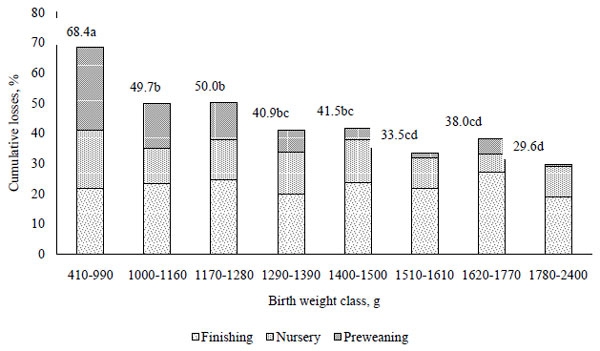 Culling and cumulative losses from birth until 170 days, according to birth weight classes of female piglets. Bars with one letter in common are not significantly different (P > 0.05) - Magnabosco et al. (2015). 