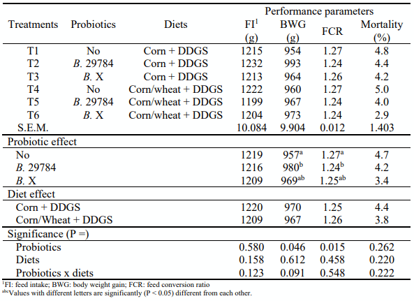Table 2 - Growth performance of broiler fed either a corn and DDGS-based diet, or a corn/wheat and DDGS-based diet (0-22 d period). 