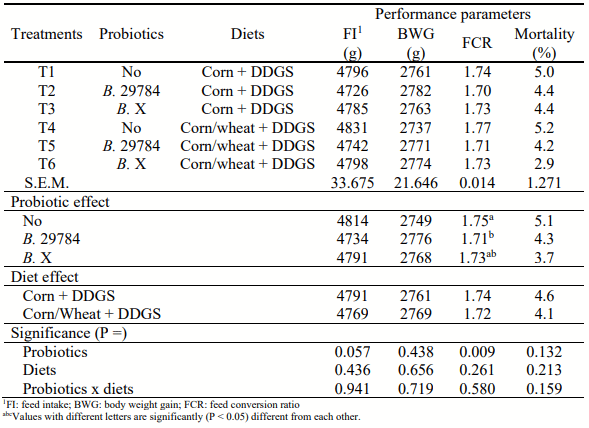 Table 3 - Growth performance of broiler fed either a corn and DDGS-based diet, or a corn/wheat and DDGS-based diet (0-42 d period). 
