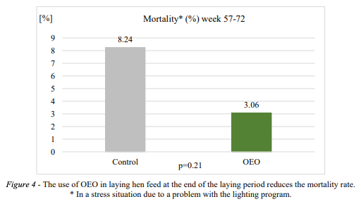 Figure 4 - The use of OEO in laying hen feed at the end of the laying period reduces the mortality rate. * In a stress situation due to a problem with the lighting program.