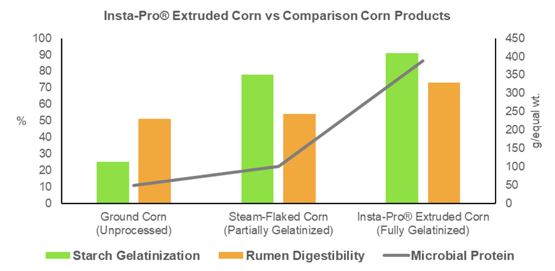 HIGH-SHEAR DRY EXTRUDED PRODUCTS FOR HIGHLY DIGESTIBLE RUMEN MICROBIAL PROTEIN IN DAIRY PART II: HIGH SHEAR DRY EXTRUDED CORN