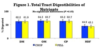 Does Forage Particle Size Affect How Heifers Utilize Distiller Dried Grains? - Image 1