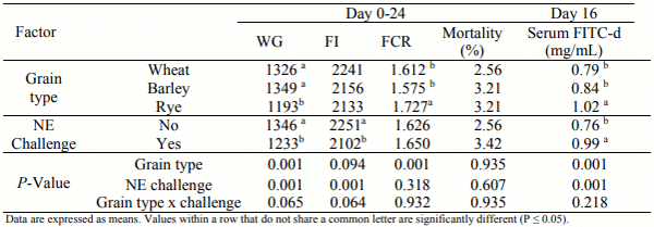 Table 1 - Effect of necrotic enteritis challenge and grain type on broiler performance. 