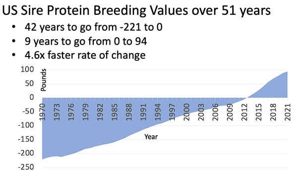 Why Feed Rumen-Protected Amino Acids? The Opportunities Ahead - Image 1