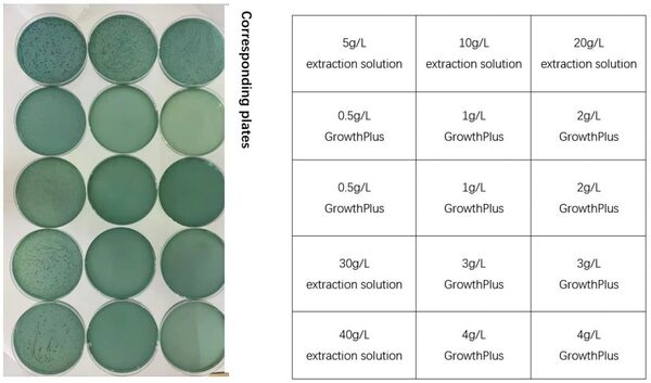 Antibacterial effect of plant extracts against Vibrio parahaemolyticus - Image 5
