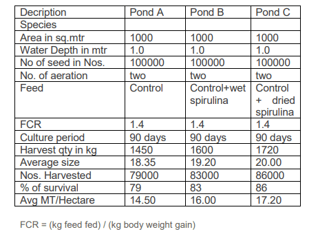 Spirulina - Fortunate thing for aqua feed - Image 1