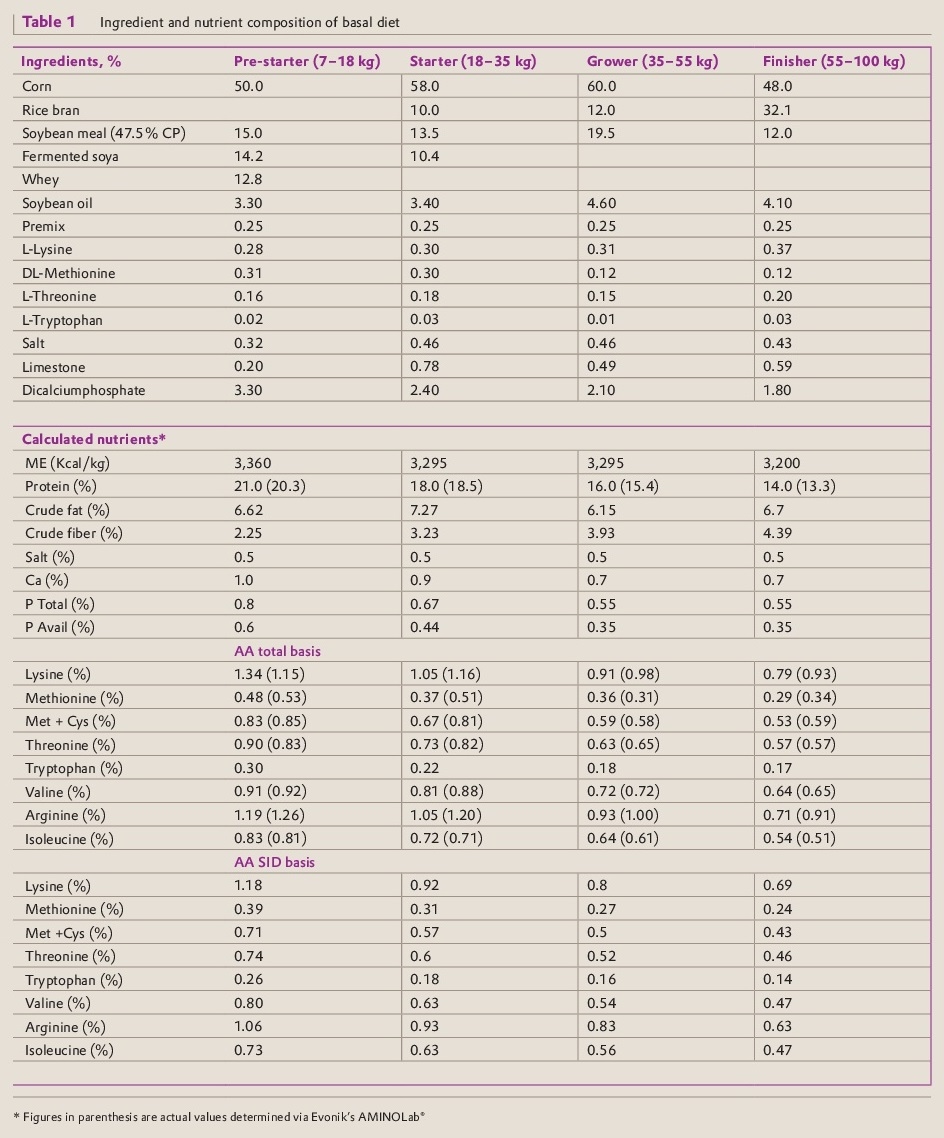 CreAMINO® supplementation improves growth performance and lean meat yield of pigs - Image 1