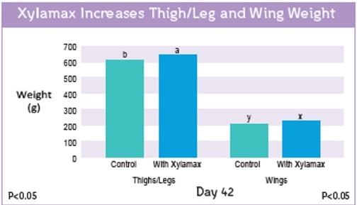 Evaluation of live performance and carcass characteristics of broiler chickens fed corn-soy diets supplemented with phytase and xylanase - Image 5