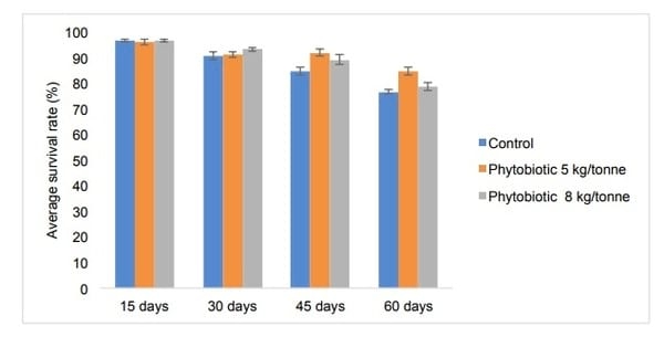 Natural remedies against vibriosis in shrimp culture - Liptosa - Image 1