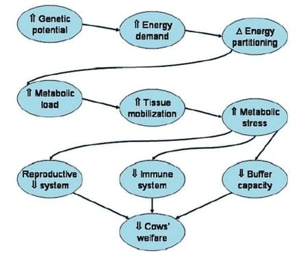 Reproductive Performance in High-producing Dairy Cows: Can We Sustain it Under Current Practice?- Part II - Image 5