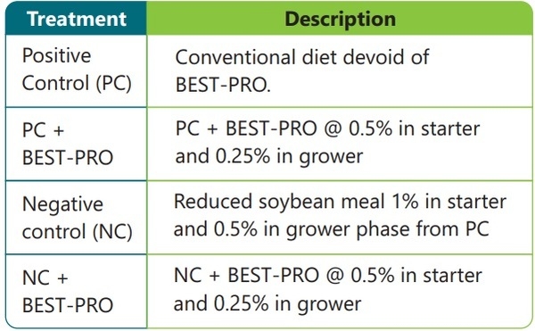 Use of highly bioavailable protein and probiotics in poultry feed - Image 2
