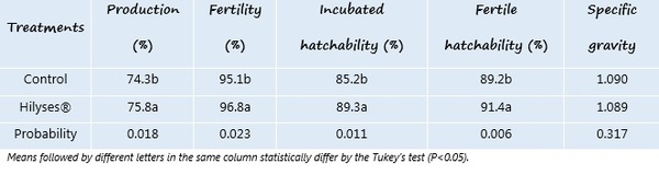 Hilyses: Source of nucleotides in broiler breeder diets - Image 1