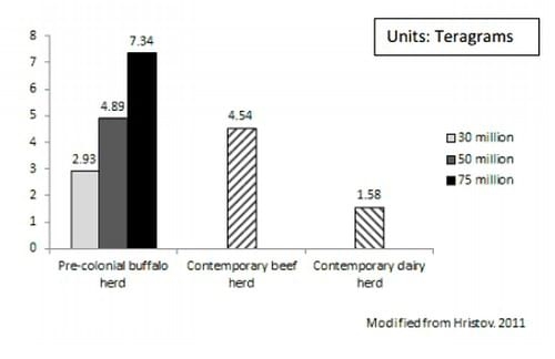 Greenhouse Gases: Are Dairy Cows to Blame? - Image 2