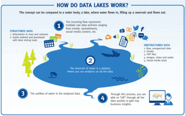 Figure 1 - A Data Lake: how does it work? (Source: Realworldanalystics.com) 
