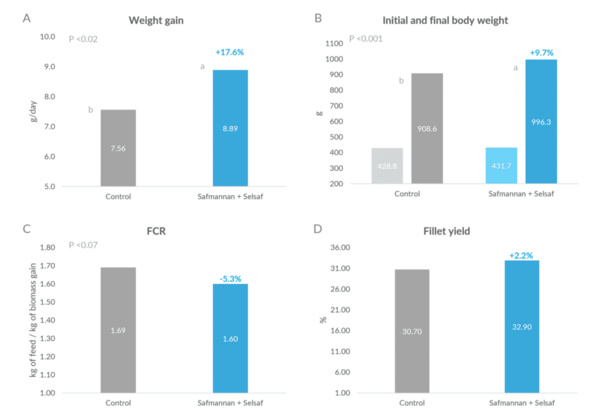 Boosting tilapia performance - Image 5
