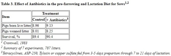Improving Preweaning Survival of Pigs - Image 3