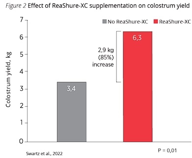 BOOST DAIRY PERFORMANCE WITH RUMEN-PROTECTED CHOLINE - Image 2