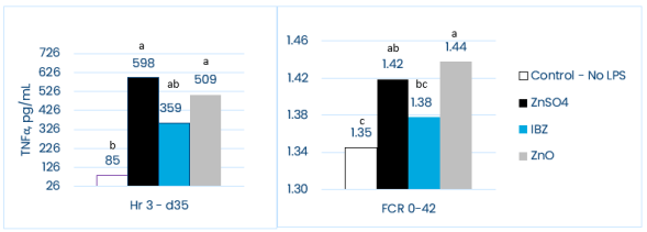 Figure 2. Effect of the use of IntelliBond, a unique hydroxy trace mineral, on serum levels of TNF-α in piglets at day 35 post-weaning, 3 hours post-LPS injection and FCR for the entire period. TNF-α is a signalling protein involved in inflammation and immune response. Lower levels may indicate reduced inflammation in the body.