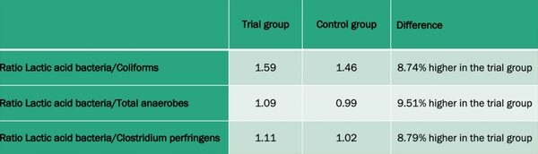 DigestoCid© boosts productivity and improves gut flora composition in caged broilers - Image 3