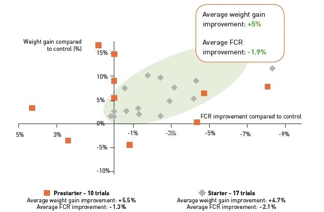 ROSEN Test to objectively evaluate feed additives in piglets - Image 3