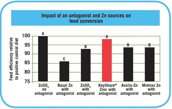 KeyShure Deposition of and performance responses to Zn from three organic sources fed to broiler chickens in the presence of cottonseed hull diets containing gossypol. - Image 2