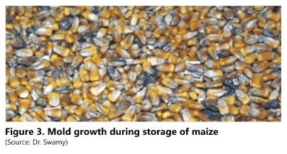 How many mycotoxins should be analyzed in Indian Poultry Feeds and Raw Materials? - Image 3