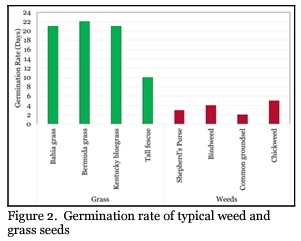 Does Poultry Litter Contain Weed Seeds? - Image 3