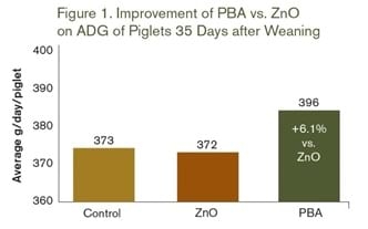 Alternatives to Zinc Oxide for More Potent Piglets - Image 1