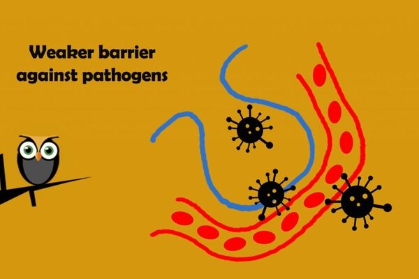 Respiratory diseases are scary, but essential oils can help! - Image 3