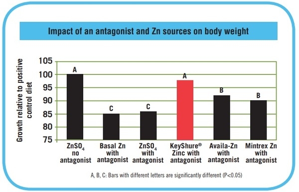 KeyShure Deposition of and performance responses to Zn from three organic sources fed to broiler chickens in the presence of cottonseed hull diets containing gossypol. - Image 1