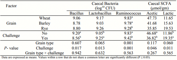 Table 2 - Effect of necrotic enteritis challenge and grain type on bacteria count and short chain fatty acid production in the caecum. 