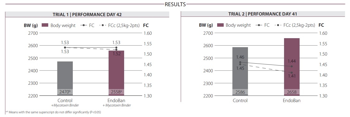 Improving broiler performance with a strategy that reduces the endotoxin related triggering of the immune system. - Image 2