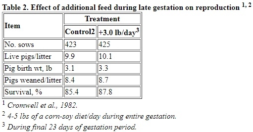 Improving Preweaning Survival of Pigs - Image 2