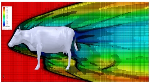 Dairy Cows: Effects of Air Velocity - Image 1