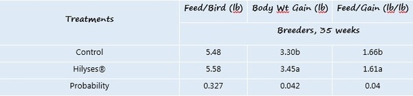 Hilyses: Source of nucleotides in broiler breeder diets - Image 2