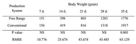 Comparison of Performance of Commercial Conventional and Free Range Broilers - Image 2