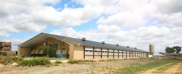 Agricultural Ventilation Concepts for Livestock Keeping - Image 1
