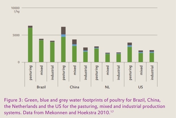 Protecting freshwater with amino-acid enriched animal feed - Image 3