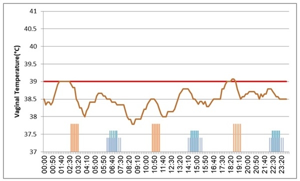 Continuous monitoring of cow