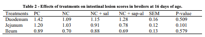 Table 2 - Effects of treatments on intestinal lesion scores in broilers at 16 days of age. 