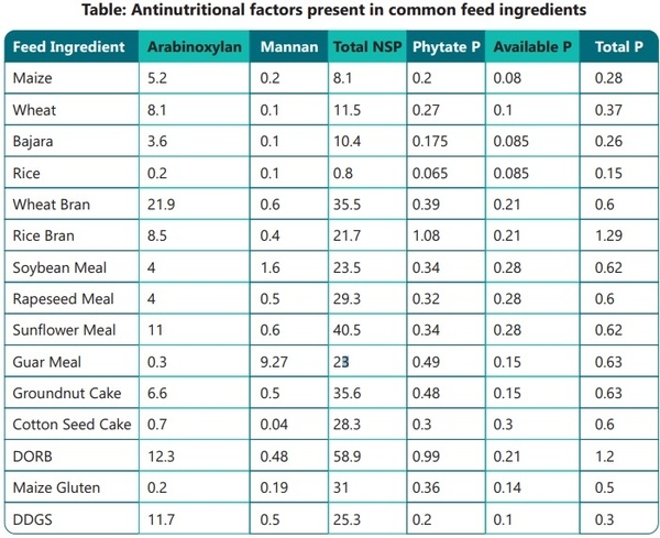 Use of exogenous enzymes in poultry feed - Image 2