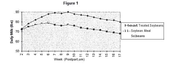 Milk Production Benefits of Roasted Soybeans - Image 3